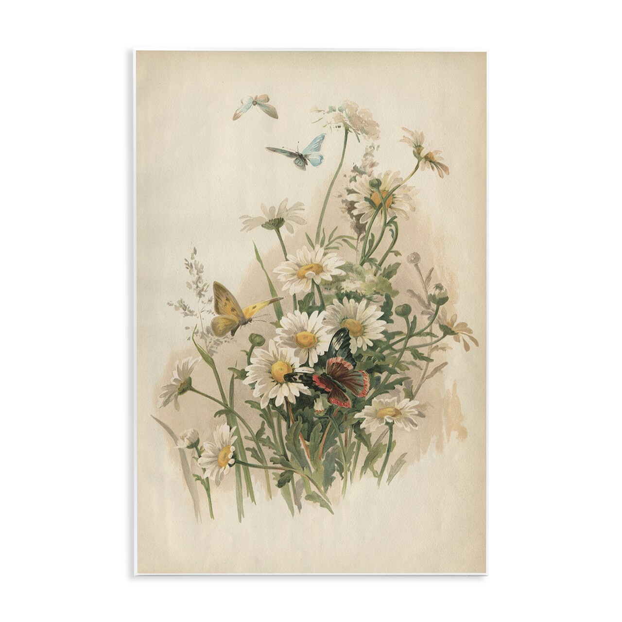 Stupell Industries Vintage Daisies & Butterflies Wall Plaque By PIDDIX